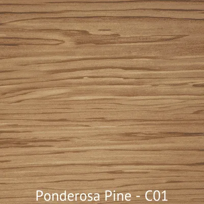 Ponderosa Pine